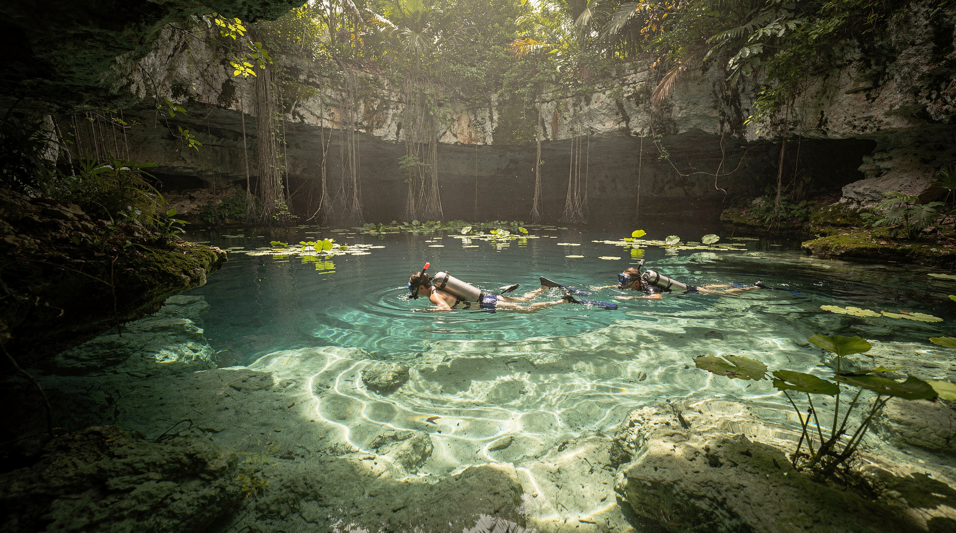 Gran Cenote, Tulum: turtles, snorkeling and the honest catch