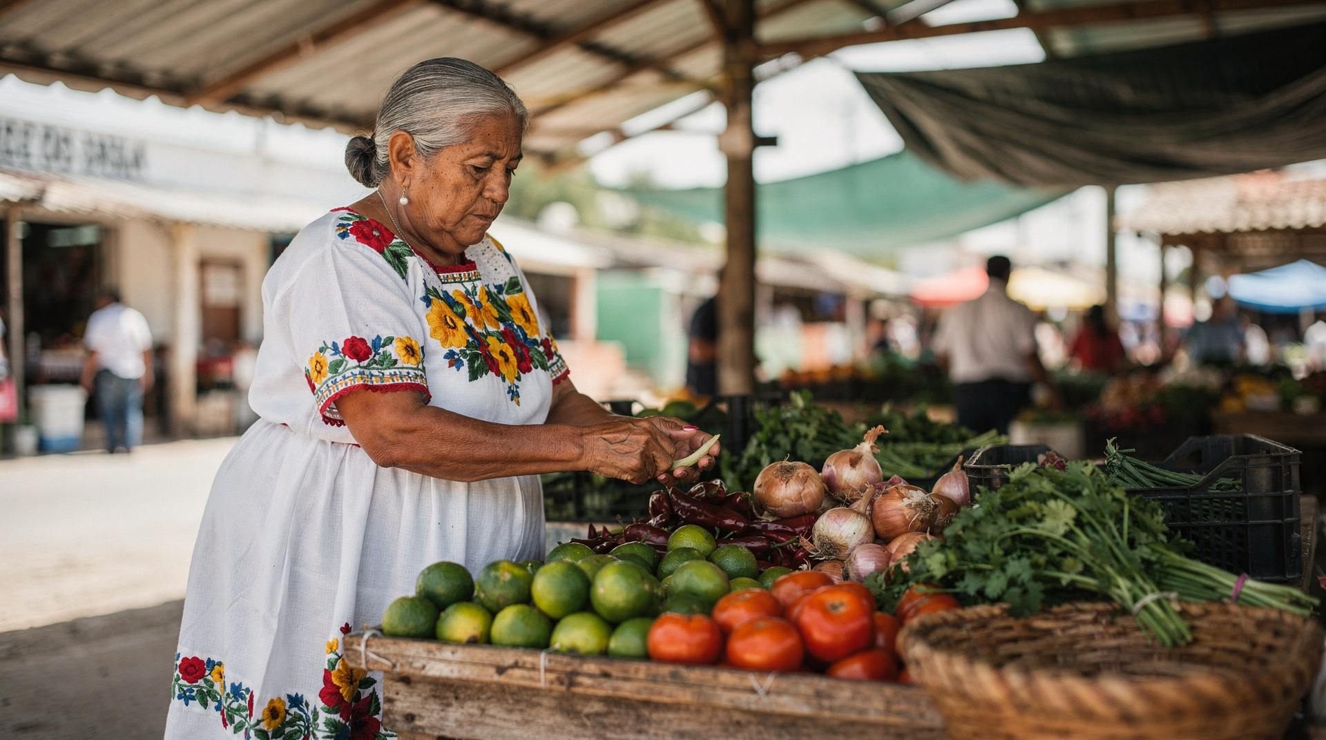 Maya culture in the Yucatán: a living thing, not a ruin