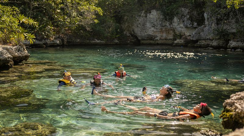 Xcaret vs Xel-Há vs Xplor: qué ecoparque elegir